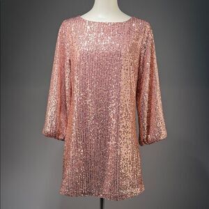 LOFT Blush Pink Sequin dress (rack4)